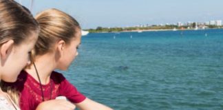 Manatee Lagoon fully reopens to the public Manatee Lagoon fully reopens to the public