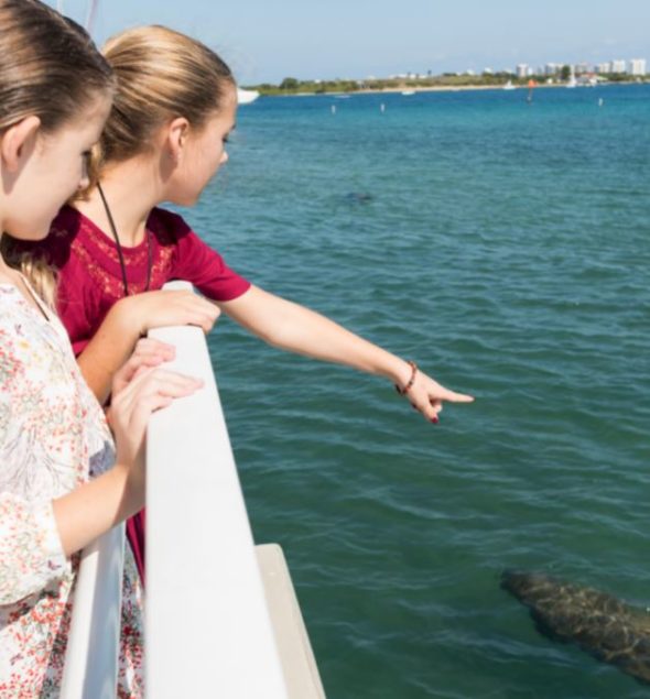 Manatee Lagoon fully reopens to the public