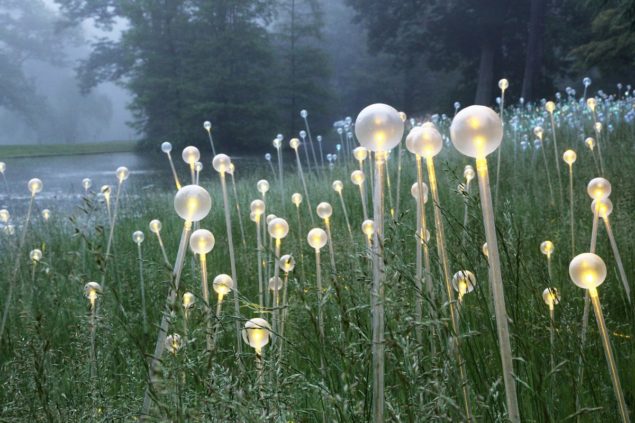 Pinecrest Gardens to bloom at night with  ‘Bruce Munro: Forest and Field of Light’