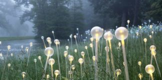 Pinecrest Gardens to bloom at night with ‘Bruce Munro: Forest and Field of Light’ Pinecrest Gardens to bloom at night with ‘Bruce Munro: Forest and Field of Light’