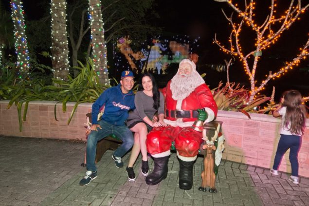 Zoo Lights Miami to return on select nights, Nov. 26-Dec. 30