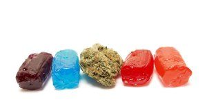 Minnesota: Regulators Okay Patients’ Access to Cannabis-Infused Edible Products