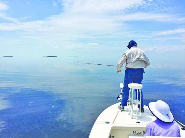 Florida Keys Fisheries and economic health depend on Everglades restoration