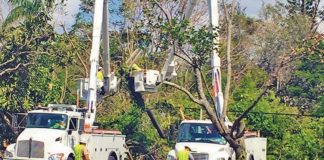 Flickering lights in Pinecrest… a solution Flickering lights in Pinecrest… a solution