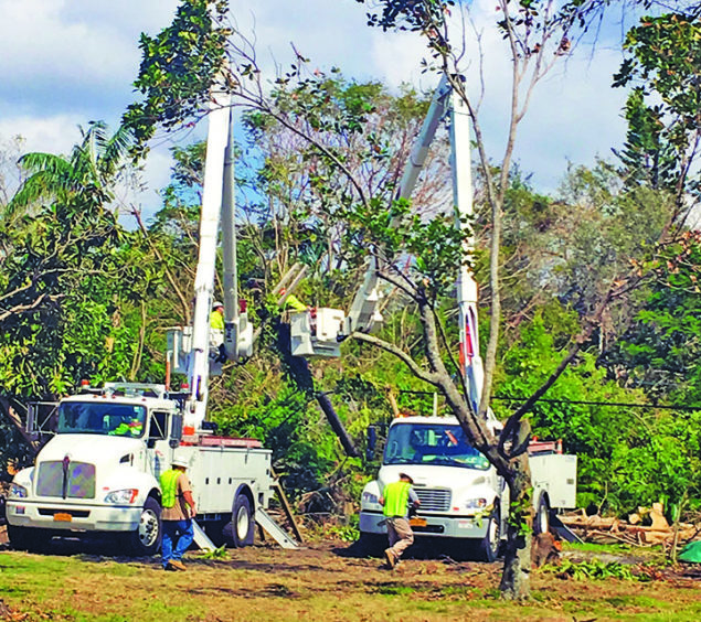 Flickering lights in Pinecrest… a solution