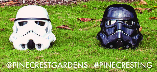 May the force be with you at Pinecrest Gardens