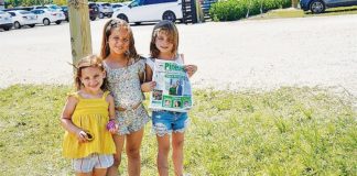 Sunflower Sisters Sunflower Sisters