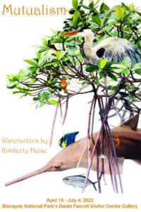 Watercolorist Kim Heise opens Mutualism exhibition in Biscayne National Park Gallery