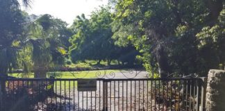 Community philanthropy comes together to restore Girl Scouts’ Camp Mahachee Community philanthropy comes together to restore Girl Scouts’ Camp Mahachee