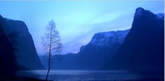 Miami Short Film Festival presents “Focus On: Passport to the World” films at Deering Estate