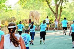 WK Baptist Hospital, Zoo Miami join to host 10th annual ZooRun