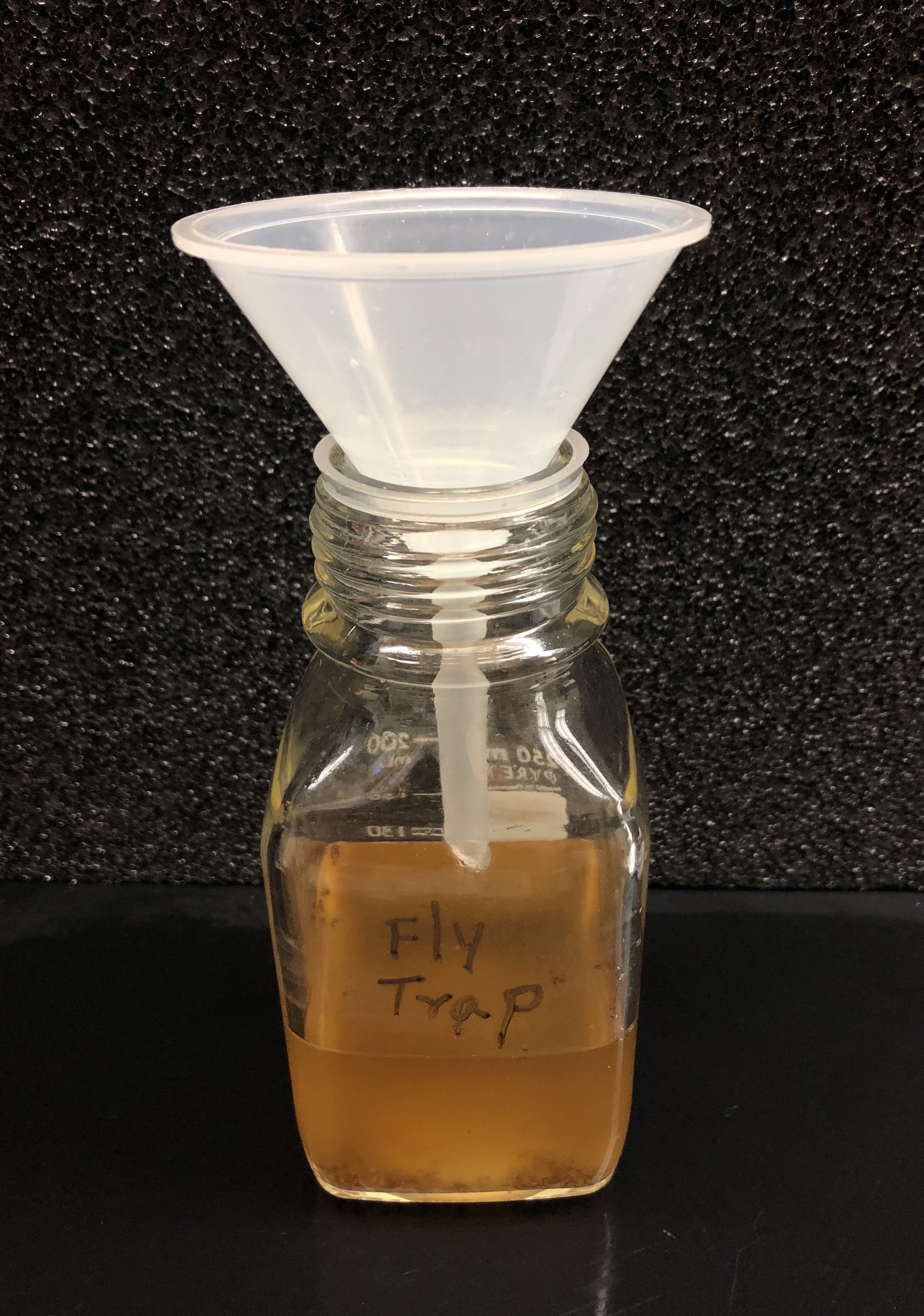 A simple home-made fruit fly trap