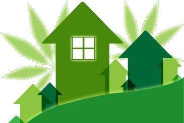 Marijuana and Home Values