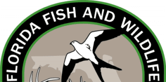 FWC assisting Southwest Florida with Hurricane Ian recovery efforts