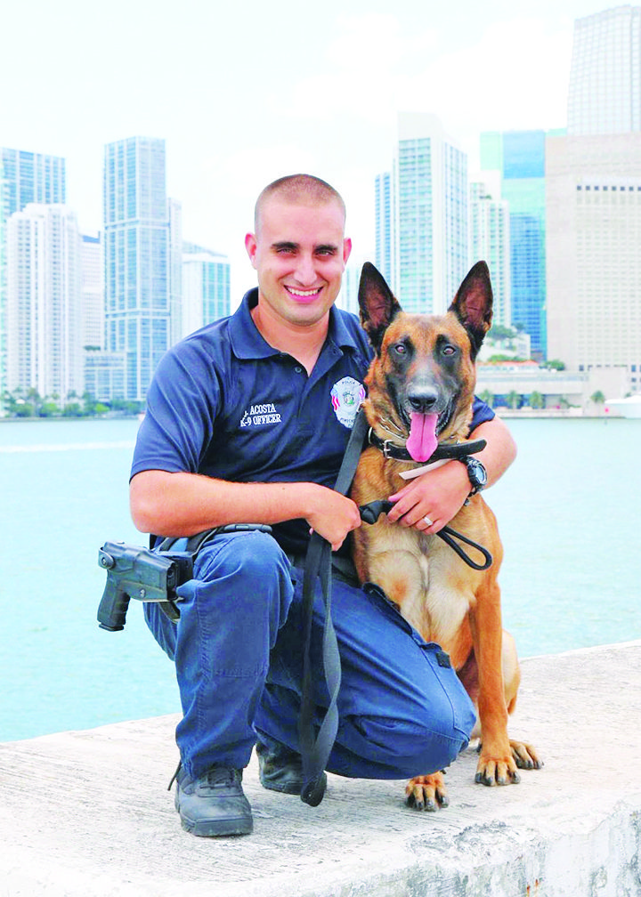 A K-9 Connection: Who’s a Good Boy?