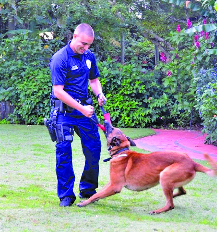 A K-9 Connection: Who’s a Good Boy?