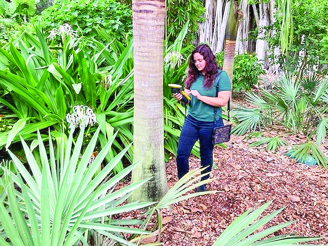 Art, Jazz, and Plant Collections at Pinecrest Gardens