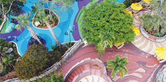 Pinecrest Gardens is bustling and celebrating the reopening of its upper garden Pinecrest Gardens is bustling and celebrating the reopening of its upper garden