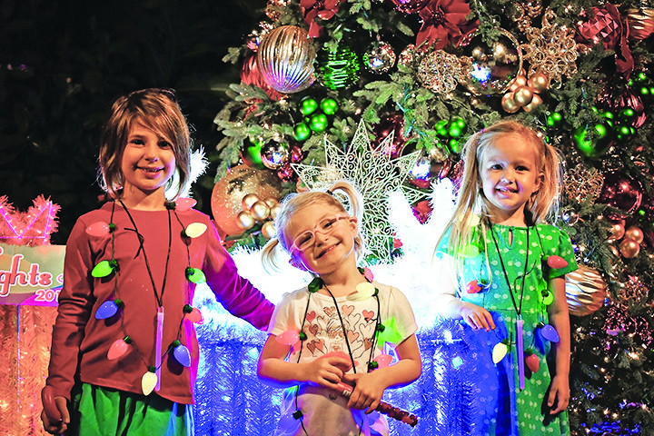 Twinkling Lights, Holiday Bazaar, and Live Entertainment at Pinecrest Gardens