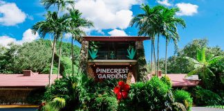 2023 South Dade Schools ArtsFest takes place February 5th at Pinecrest Gardens