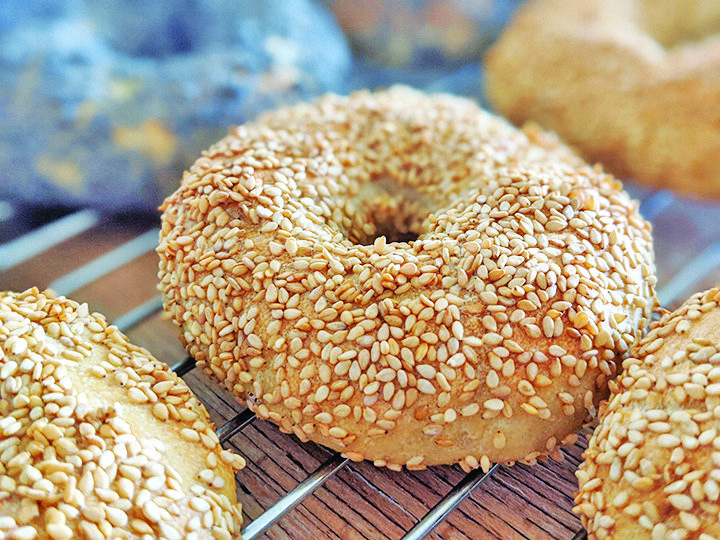 Guess who has Miami’s Best Classic Bagel?