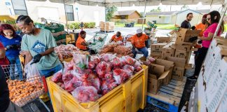 Miami Dolphins and Ambetter from Sunshine Health Team Up to Serve 400 Meals to South Florida Families