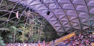 Horticulture, Beethoven, and Dancecrest, Sprinkled with Torches Tropical Nights Horticulture, Beethoven, and Dancecrest, Sprinkled with Torches Tropical Nights