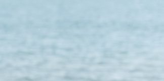 Rusty Pelican Launches New “Get Stoned” Special