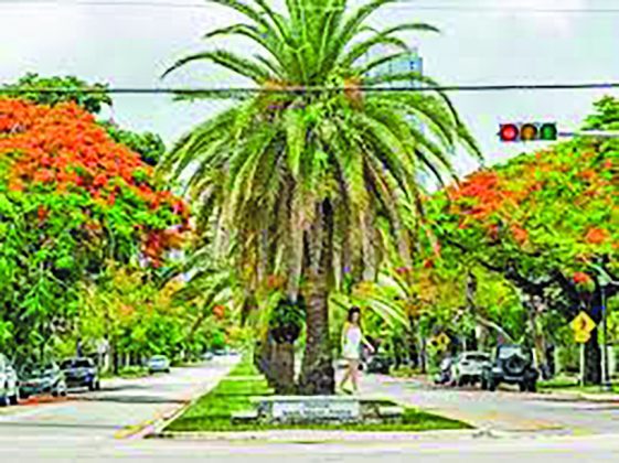 Miami’s Most Beautiful Streets