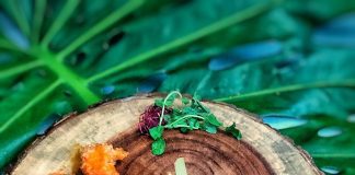 STYLE Catering Inc. Dazzles at RM Sotheby’s Pop-Up Miami Auction