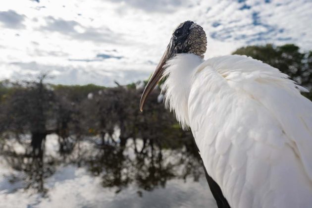 Everglades Foundation presentation features local student’s photography