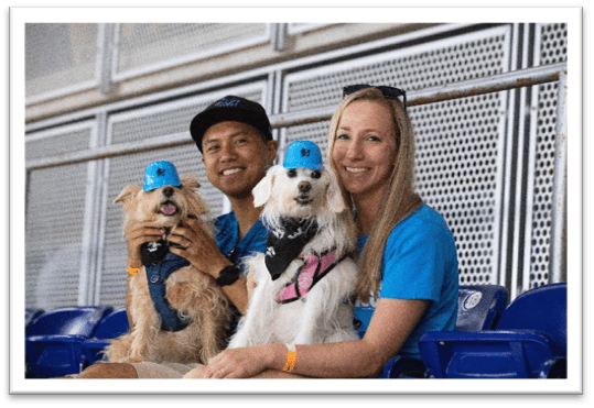 Dog wears full baseball uniform at Marlins game