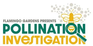Flamingo Gardens Present Pollination Investigation