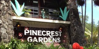 GREATER MIAMI SYMPHONIC BAND @ PINECREST GARDENS SUNDAY, FEBRUARY 26TH