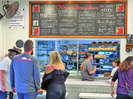 South Florida Sweetness at Knaus Berry Farm