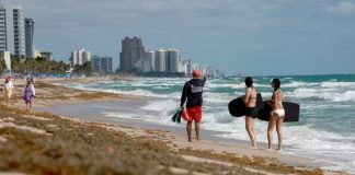 The Great Atlantic Sargassum Belt is carrying a massive bloom of brown seaweed toward Florida and the Caribbean