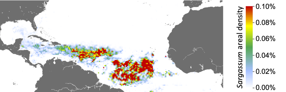 Map of the central Atlantic with colored pixels showing concentrations of sargassum.