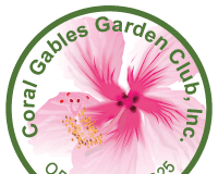 THE CORAL GABLES GARDEN CLUB’S FUNDRAISER, THE AS I SEE IT PHOTOGRAPHY COMPETITION, BEGAN ON APRIL 3rd AND LASTS THROUGH MAY 5TH