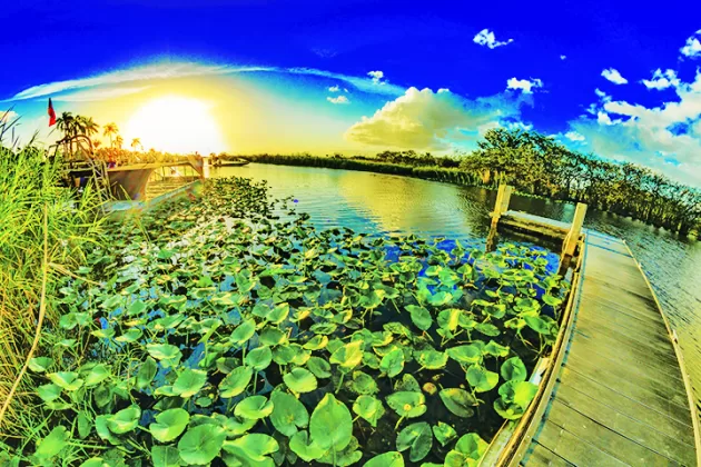 The Everglades is a vital source of water for South Florida