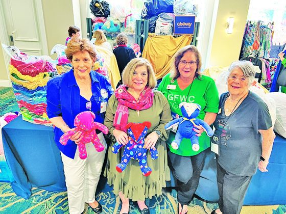 Local woman’s groups are making a difference