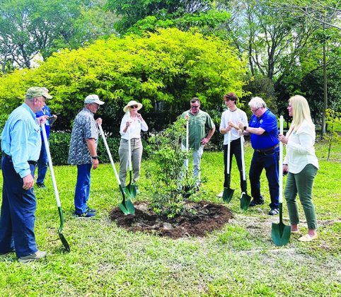 Palmer Trinity senior named Mayor’s Youth Environmentalist of the Year