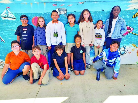 Whigham Elementary awarded Eco-Schools USA Green Flag