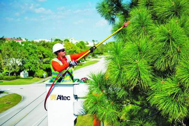 Hurricane Season Preparation Tips: Tree Trimming