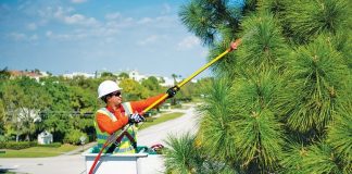 Hurricane Season Preparation Tips : Tree Trimming Hurricane Season Preparation Tips: Tree Trimming
