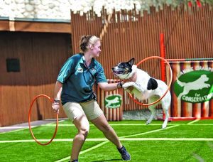 ‘Canine Champions for Conservation’ dog show at Zoo Miami until Aug. 13