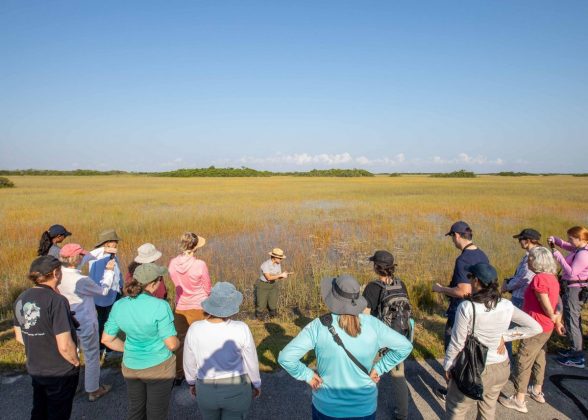 Enrollment now open for award-winning Tropical Audubon Ambassador Program