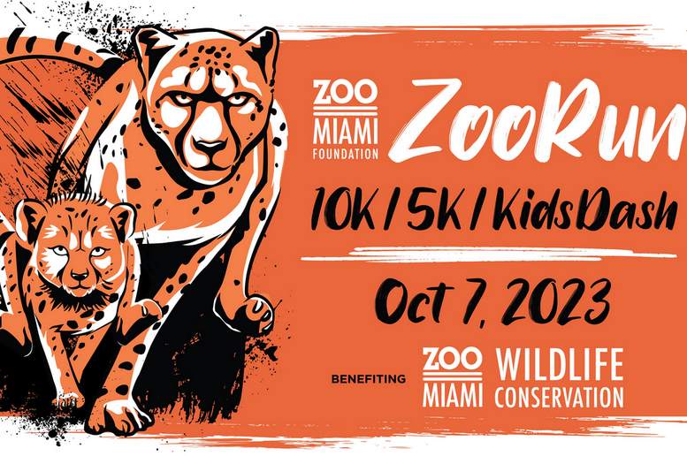 Zoo Miami Foundation to host 11th annual ZooRun on Oct. 7 | Featured#