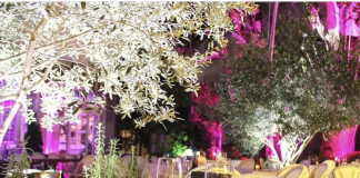 Villa Azur Miami Beach Fine Dining Committed to Sustainability