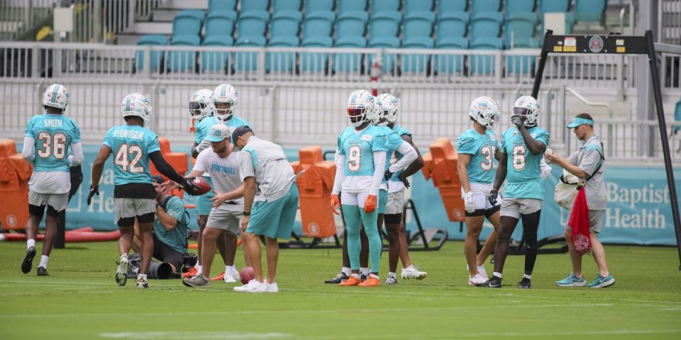 Miami Dolphins Zone