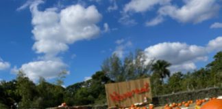 SEASON 4 REOPENING AT THE BERRY FARM: A Spectacular Autumn Experience Awaits!